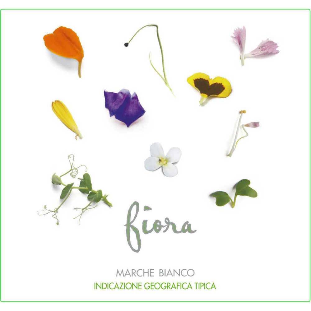 Fulvia Tomblini Fiora Marche Bianco IGT Verdicchio 750ml - Available at Wooden Cork