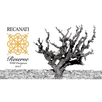 Recanati Galilee Reserve Carignan 750ml - Available at Wooden Cork