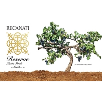 Recanati Galilee Reserve Petit Sirah 750ml - Available at Wooden Cork