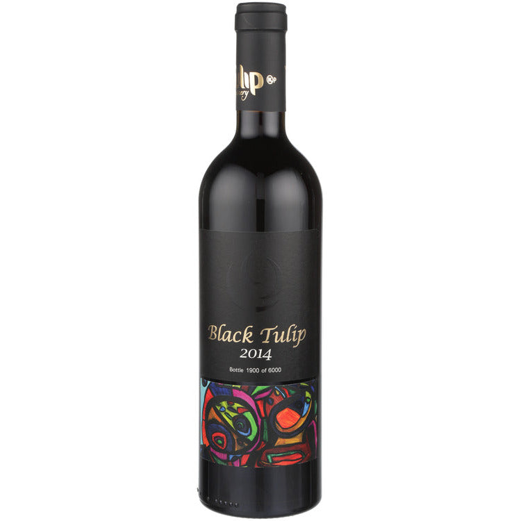Tulip Dry Red Black Tulip Galilee - Available at Wooden Cork
