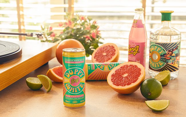Duppy Share partners with Ting to create RTD