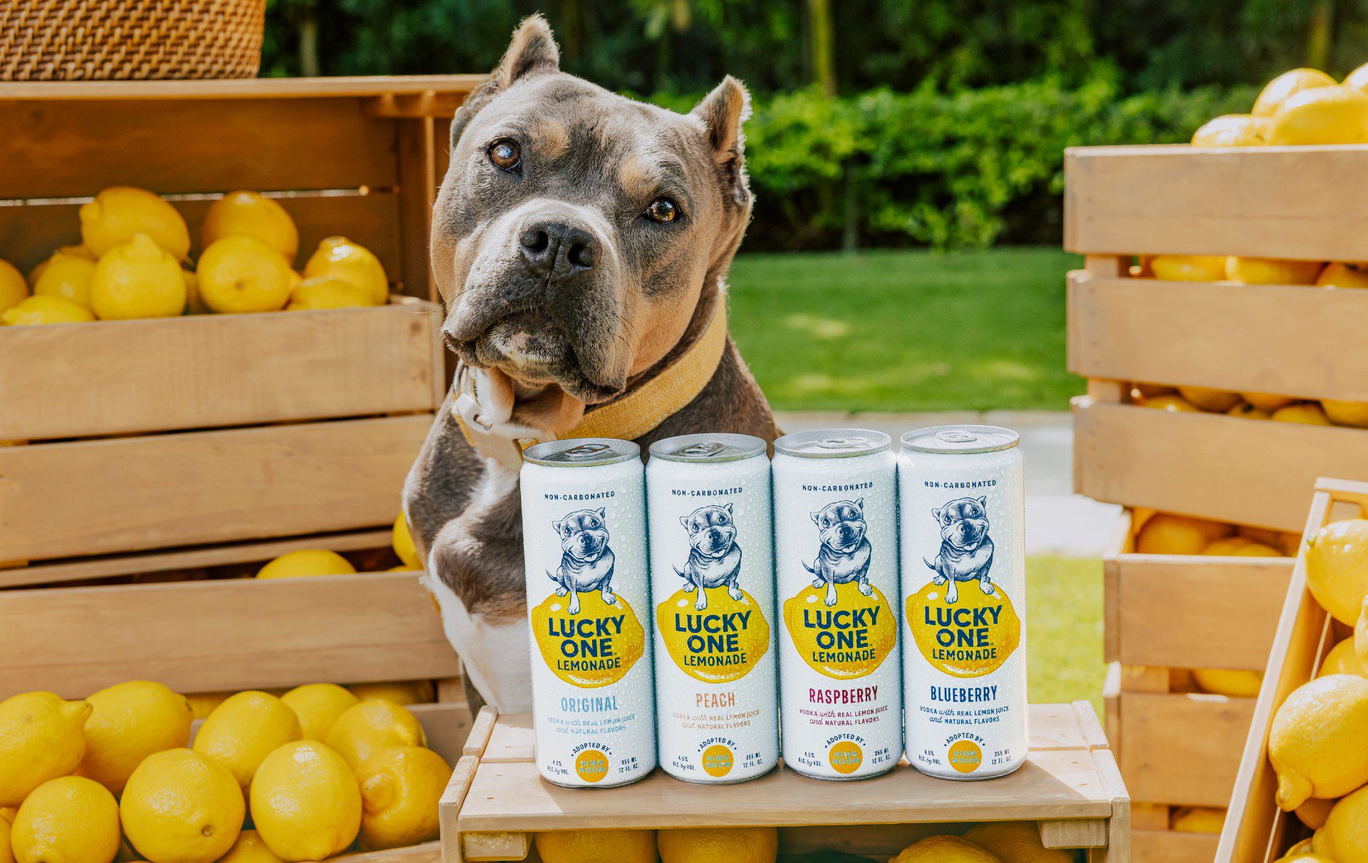 Luck Cork Gallo expands RTD range with Lucky One – Wooden Cork