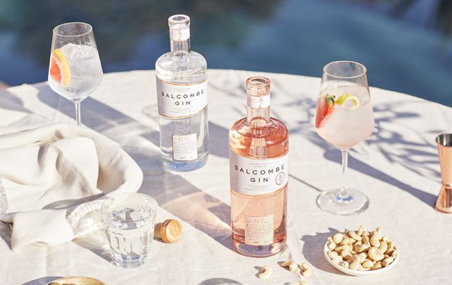 Salcombe Gin seeks £250,000