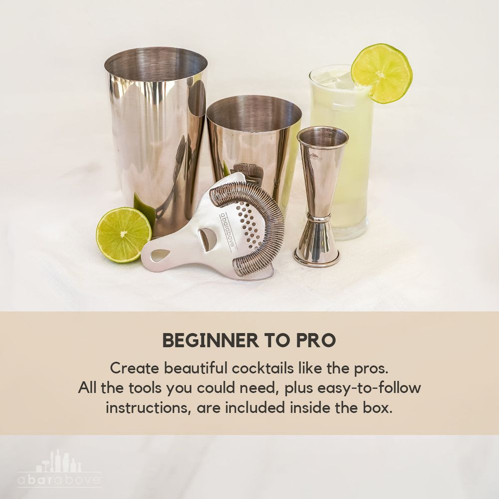 Stainless Steel Cocktail Shaker Set (4-Piece)