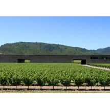 Dominus Estate Red Wine Napa Valley 2021 – Wooden Cork