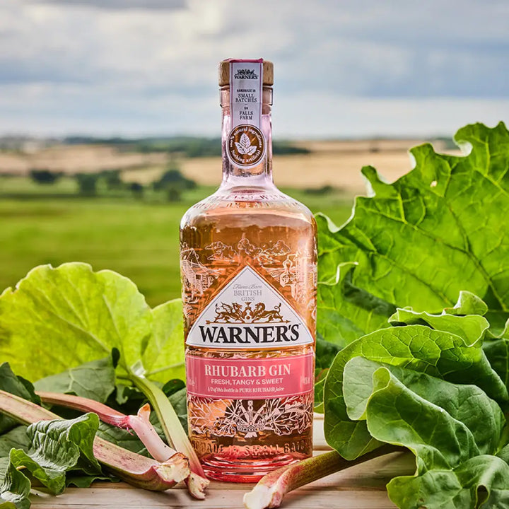 Warner’s Rhubarb Gin Gin