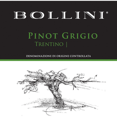 Bollini Trentino DOC Pinot Grigio 750ml - Available at Wooden Cork