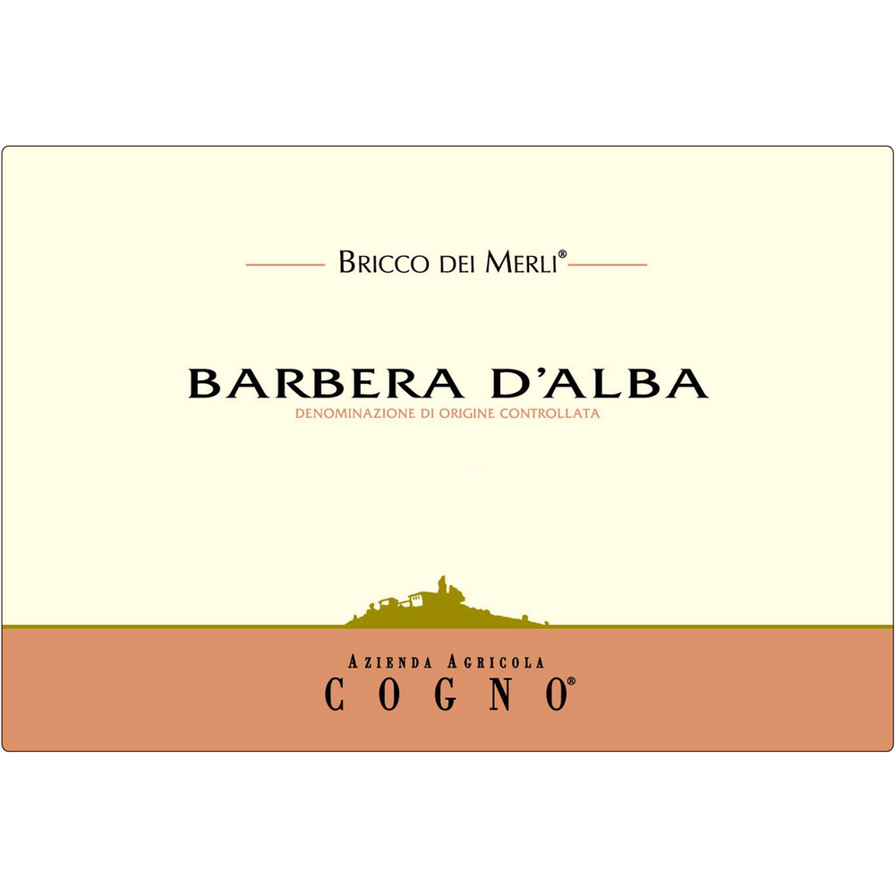 Elvio Cogno Bricco Dei Merli Barbera D'Alba 750ml - Available at Wooden Cork