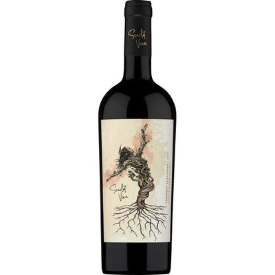 Scarlet Vine Cabernet Sauvignon Selected Hillside Vineyards Maipo Valley - Available at Wooden Cork